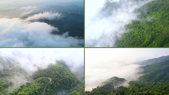 航拍云海森林植被，鸟瞰森林绿肺雾气