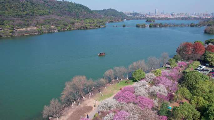 航拍杭州湘湖梅花游船美景