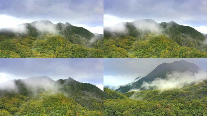 海南五指山热带雨林国家森林公园云海航拍