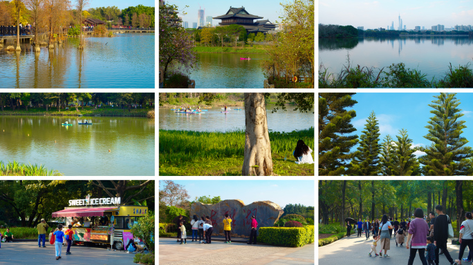 海珠湖 广州公园