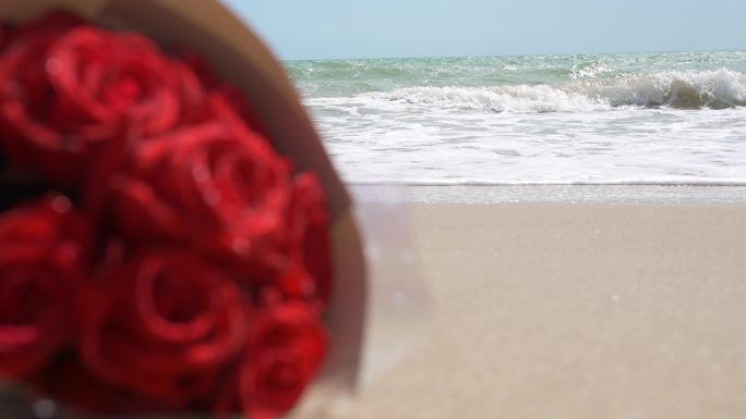海边玫瑰花