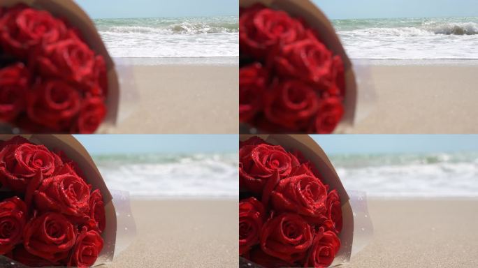 海边玫瑰花