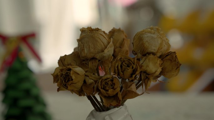 枯萎的玫瑰花