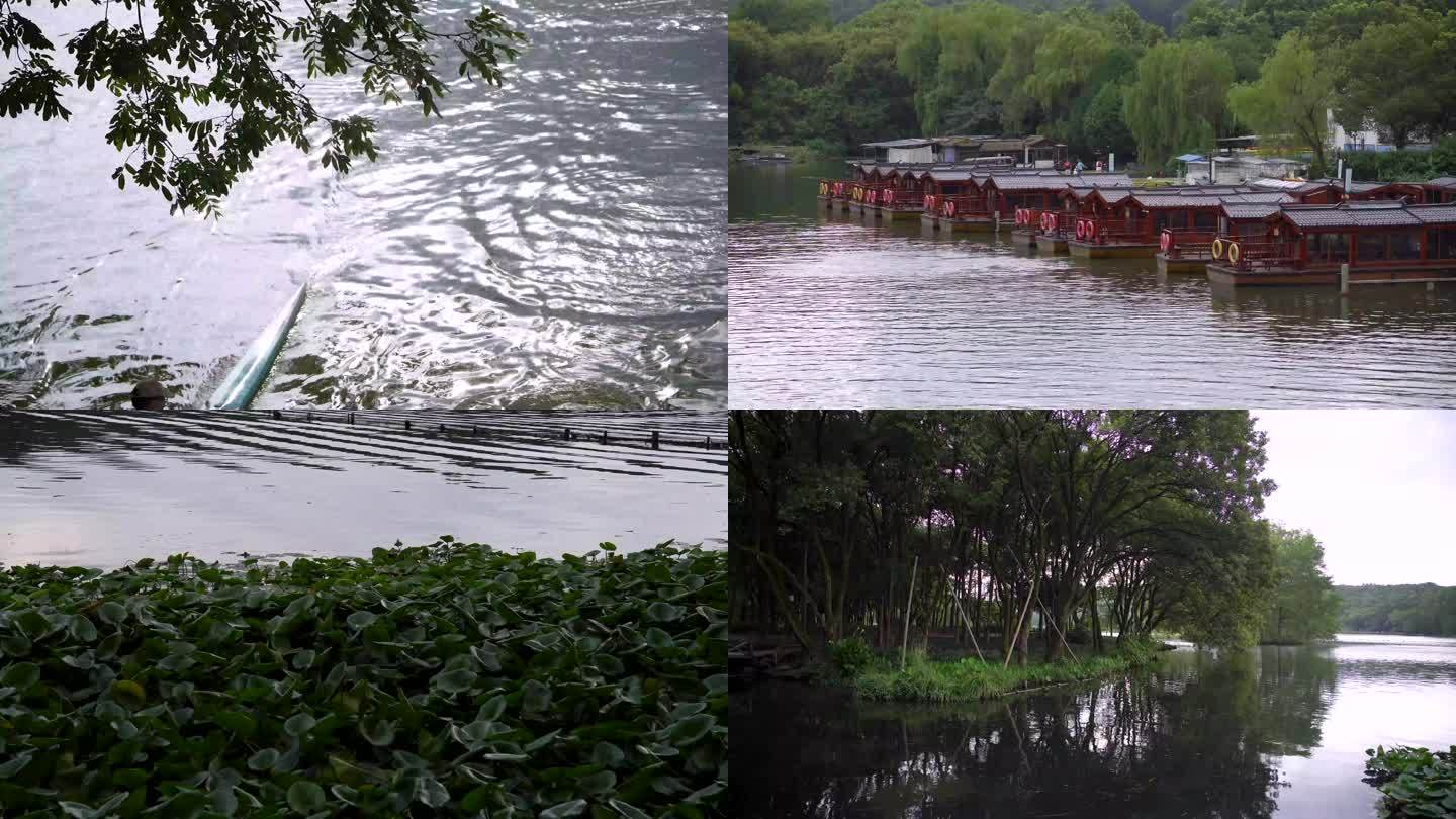 杭州西湖茅家埠江南水乡风景4K视频合集