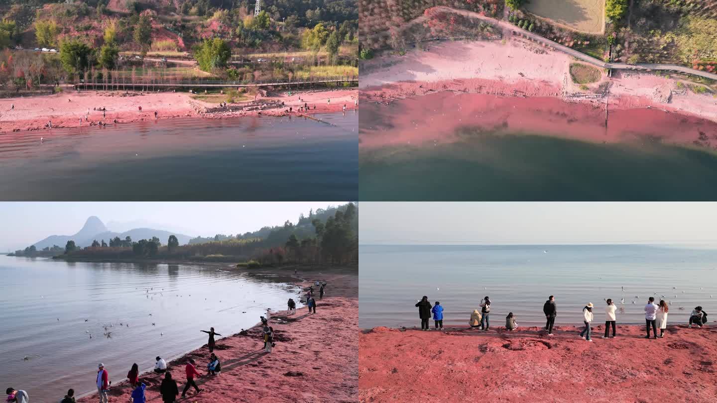 云南玉溪抚仙湖粉色沙滩