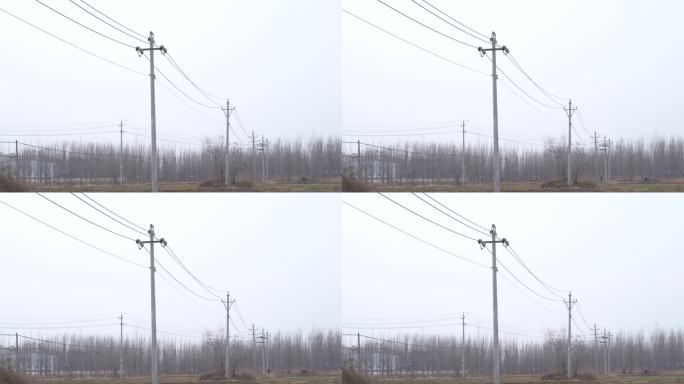 农村乡村田间一排排好几只电线杆