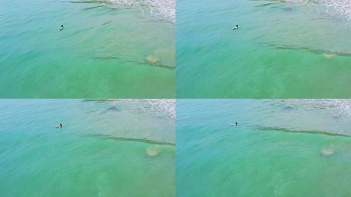 4k冲浪者在海面上冲浪俯拍