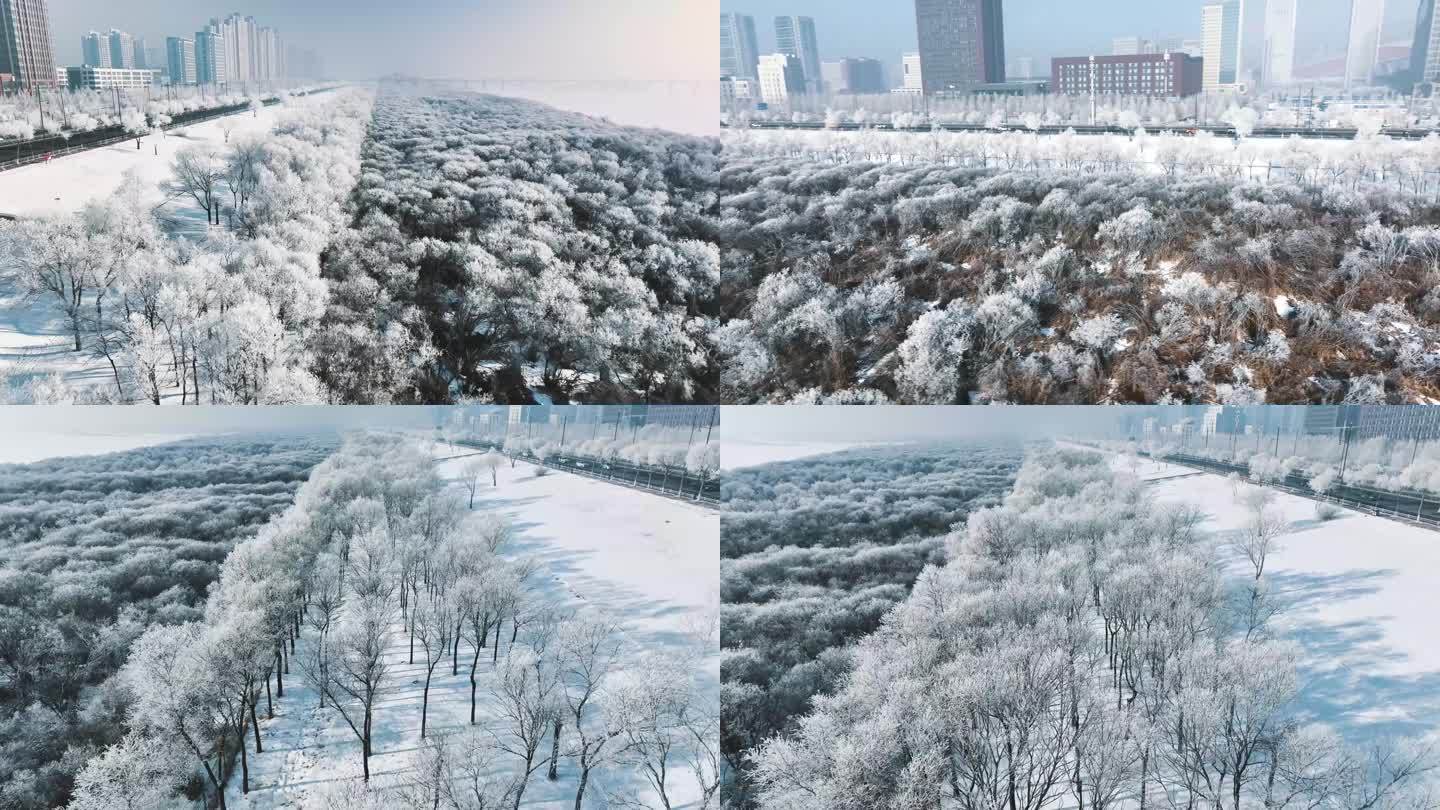 4K60帧哈尔滨冬季冰雪雾凇松花江航拍