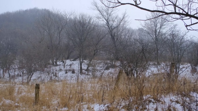 冬天秦岭山深处岭南公园的雪景