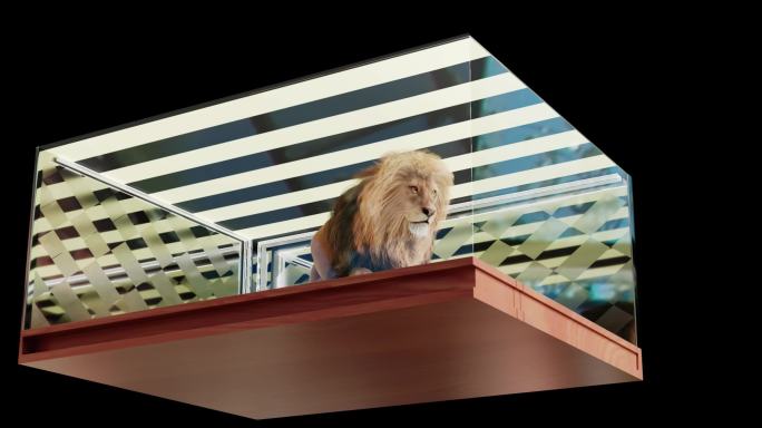 原创裸眼3D大屏网红视频狮子美洲狮效果