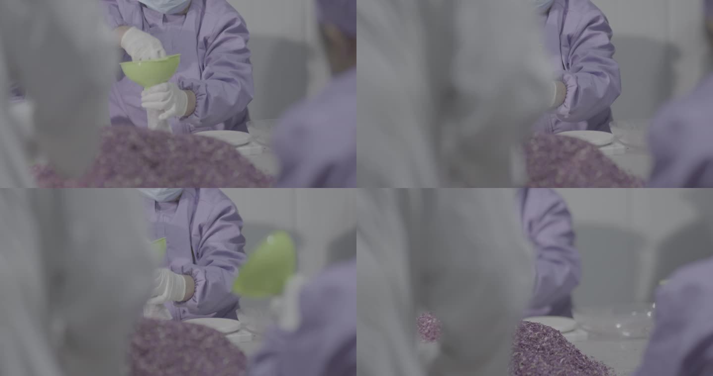 【4K灰度】玫瑰花茶制作干花瓣筛选