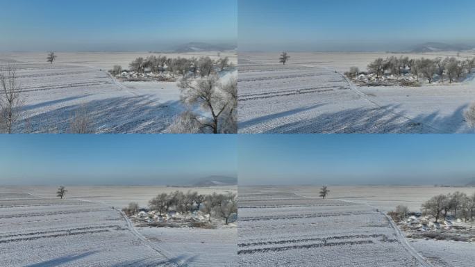 航拍雪后的东北黑土地