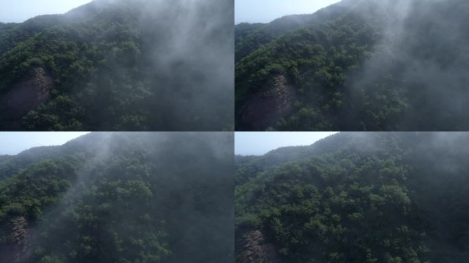 航拍高山百合种植基地