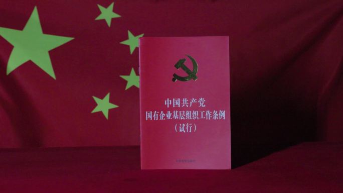 4k中国共产党国有企业基层组织工作条例