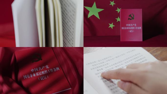 4k中国共产党国有企业基层组织工作条例