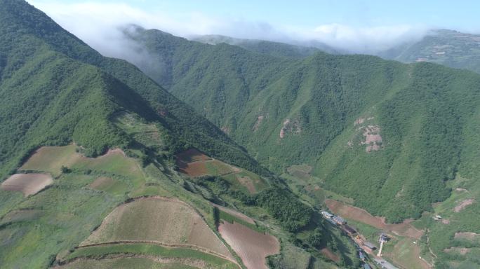 航拍高山百合种植基地