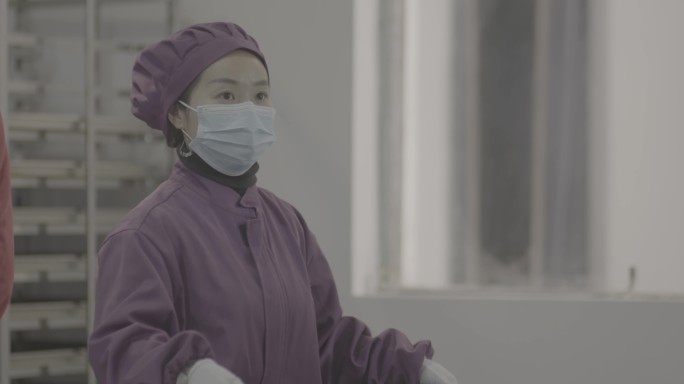 【4K灰度】食品生产厂女子忙碌