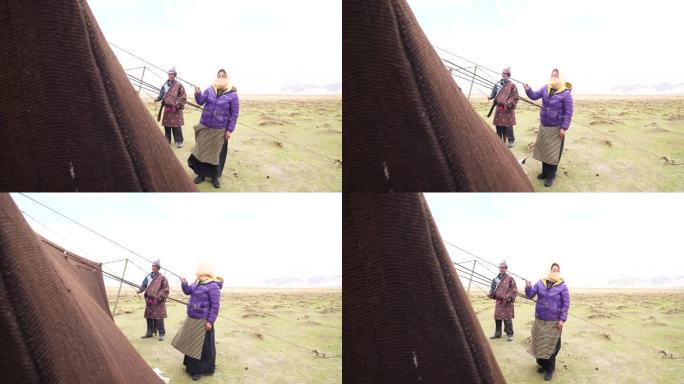 西藏那曲 游牧民族 移动的家 黑牦牛帐篷