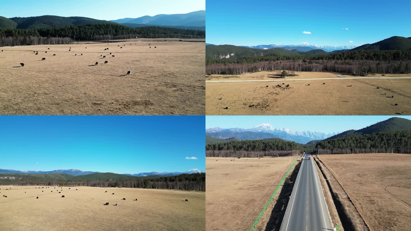 4K航拍香格里拉草原雪山