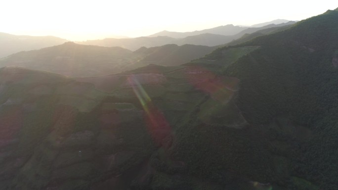 航拍高山百合种植基地