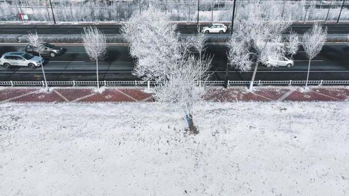 4K60帧哈尔滨冬季冰雪雾凇松花江航拍