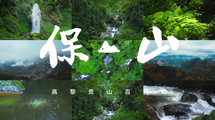 云南保山高黎贡山百花岭，雨林瀑布植被生态