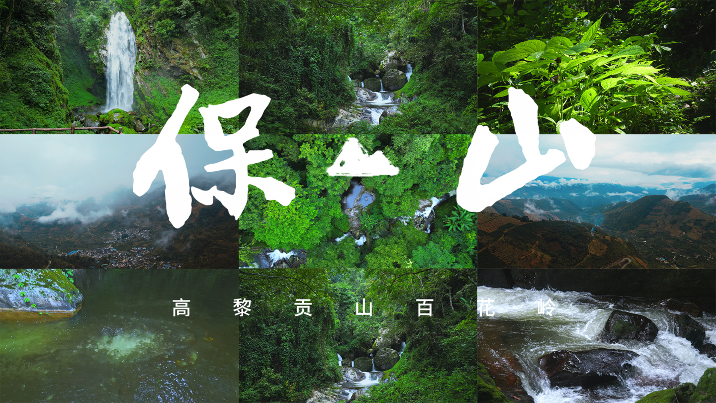 云南保山高黎贡山百花岭，雨林瀑布植被生态