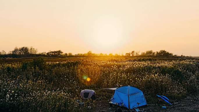 4k无人机航拍夕阳 芦苇丛 光影素材