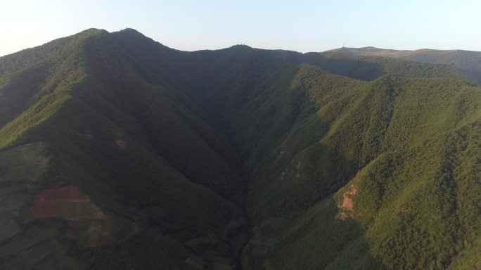 航拍高山百合种植基地