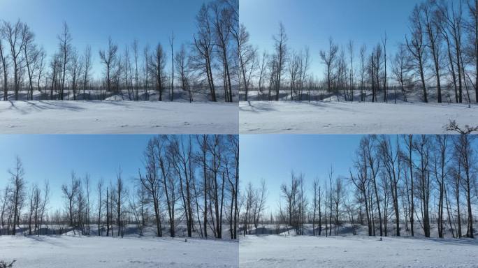 雪霁草原风吹雪白毛风路上的 汽车