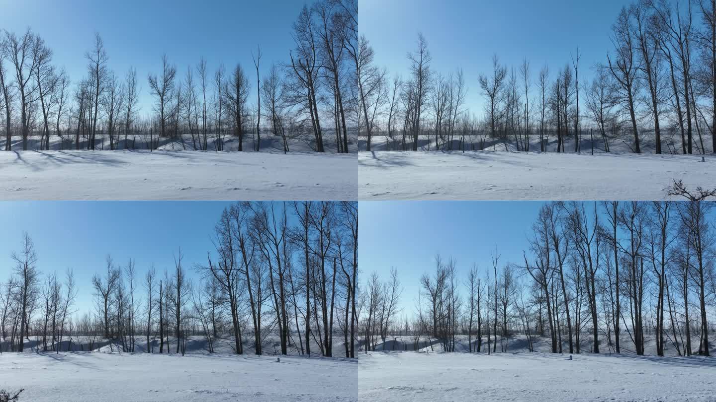 雪霁草原风吹雪白毛风路上的 汽车