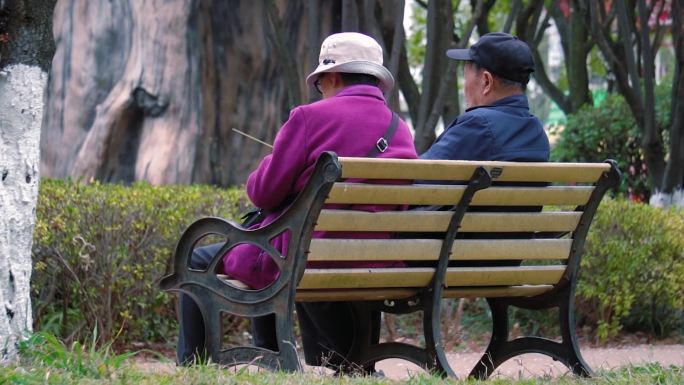 公园里休闲的老年夫妇