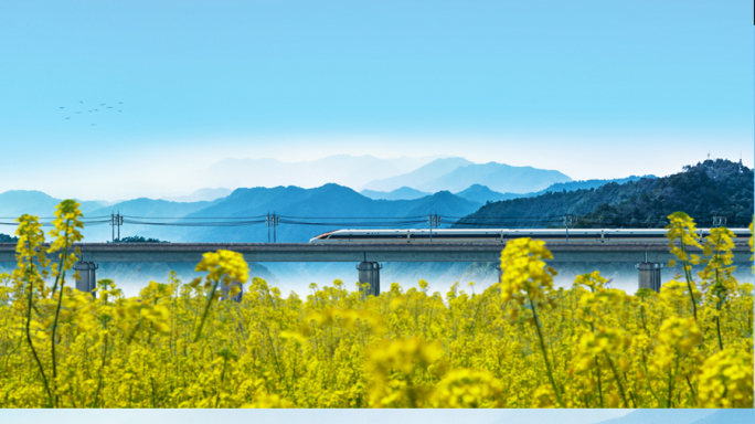 高铁穿梭山区油菜花海