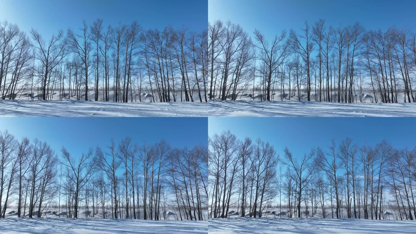 风吹树摇草原风吹雪路上行驶的汽车