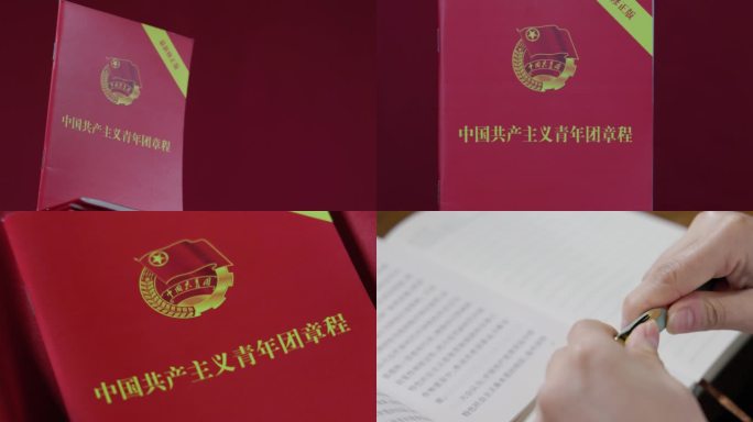 4k中国共产主义青年团章程 学习强国