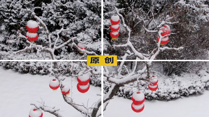 下雪天路边挂着红灯笼的树