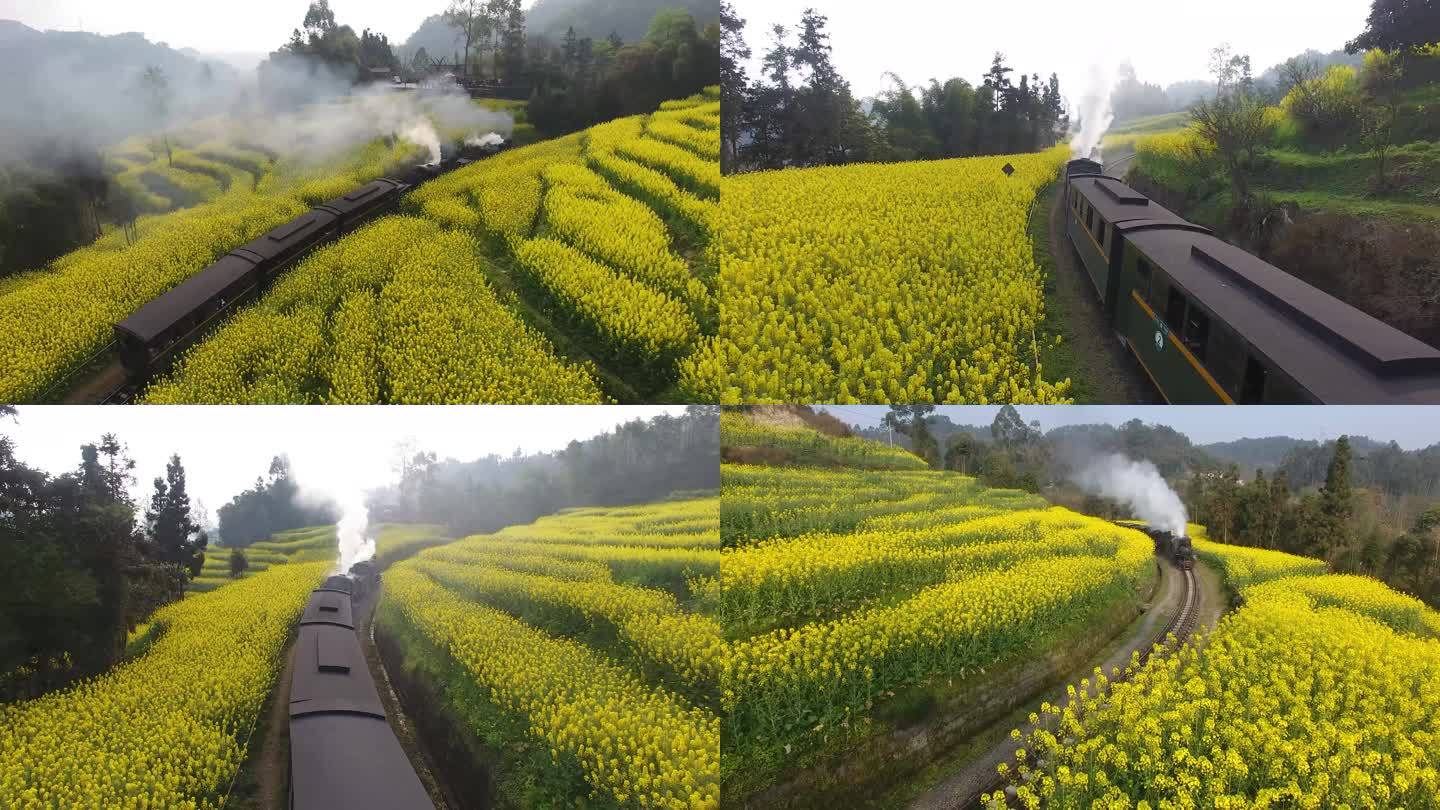 蒸汽小火车段家湾油菜花