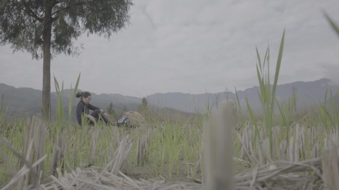 【4K灰度】女子坐山顶思考农村返乡创业