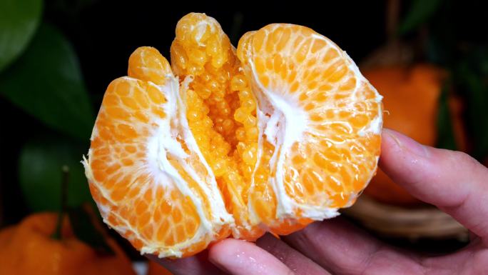 春见粑粑柑 柑橘