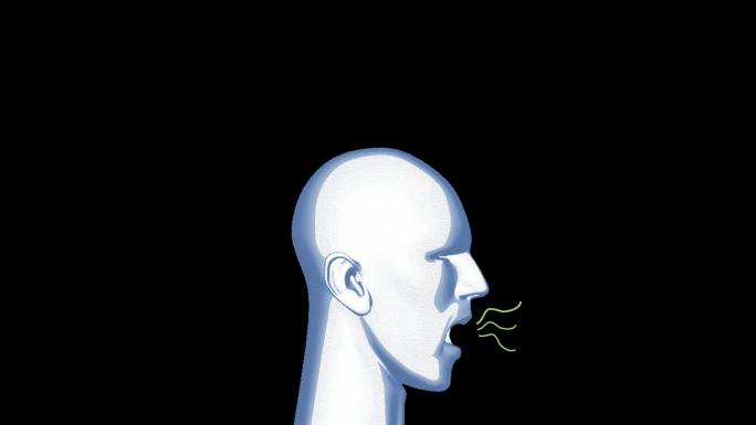 口臭、张嘴、核酸mg动画元素-带透明通道