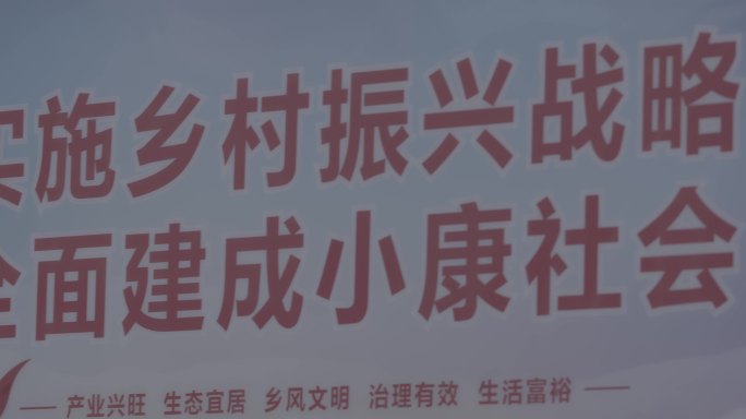 【4K灰度】新农村发展战略宣传海报