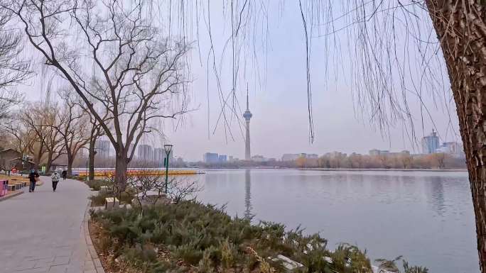 冬日的公园：玉渊潭