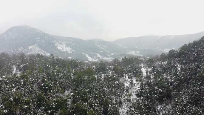 雪景