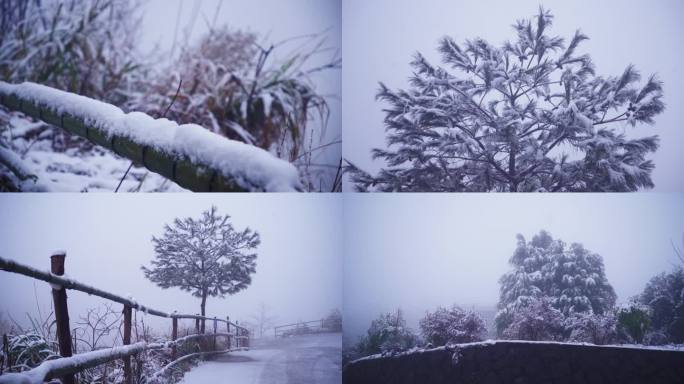 实拍下雪风景4K素材