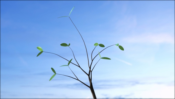 小树生长发芽视频素材三维动画春天绿色自然