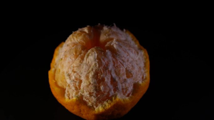【镜头合集】丑橘橘子橘子瓤橘子瓣 (2)