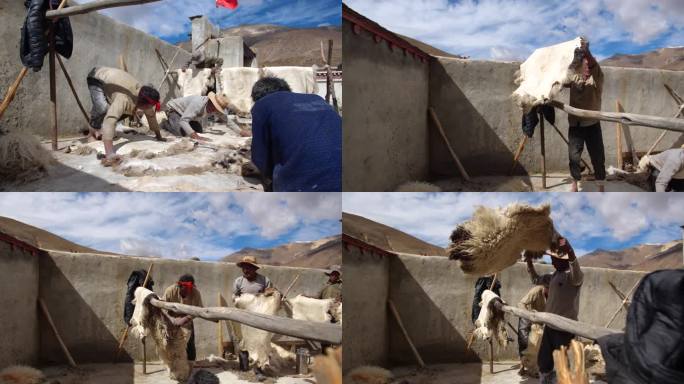 软化羊皮 软化牛皮 西藏 西藏拉萨
