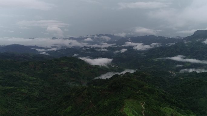 高山 大自然 雾气 云海 森林 自然