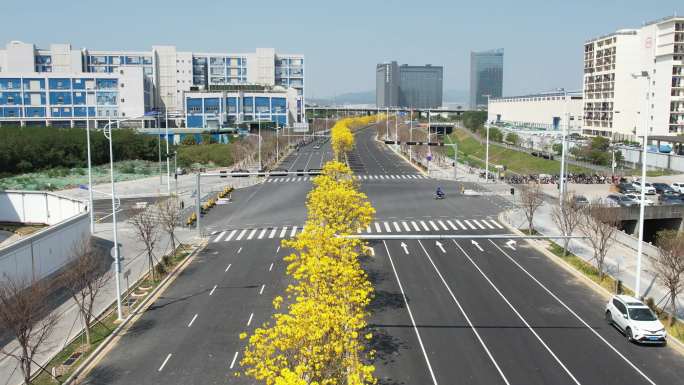 【正版素材】公路