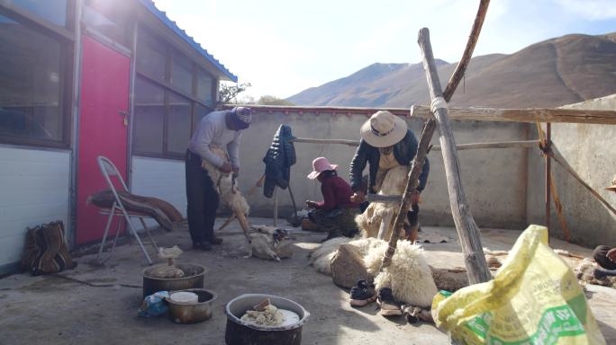 西藏皮革 皮革制品 牛毛 羊毛 羊毛衫